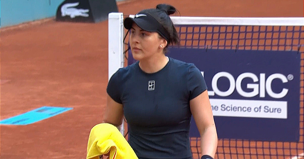 Andreescu_new-modified